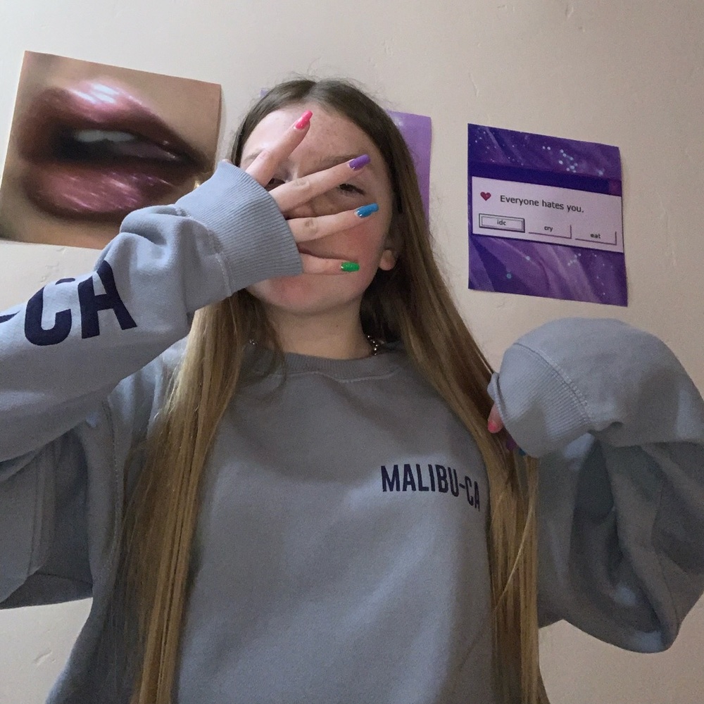 Brandy Melville Malibu sweatshirt